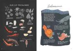 Ocean Anatomy - The Curious Parts & Pieces of the World Under the Sea Cheap