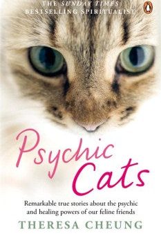 Psychic Cats Discount