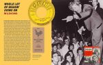 The Birth of Rock  n  Roll : The Illustrated Story of Sun Records and the 70 Recordings That Changed the World For Discount