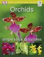 RHS Simple Steps to Success: Orchids For Sale