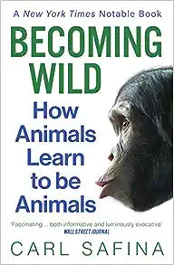 Becoming Wild : How Animals Learn to Be Animals Online now