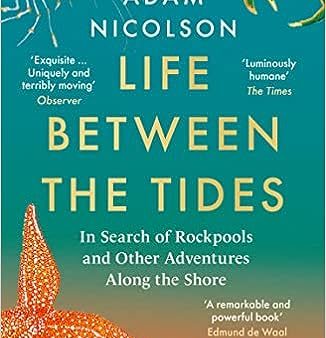 Life Between the Tides : In Search of Rockpools and Other Adventures Along the Shore Hot on Sale