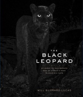 Black Leopard Online Sale