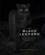 Black Leopard Online Sale