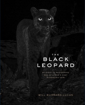 Black Leopard Online Sale