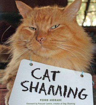 Cat Shaming For Cheap