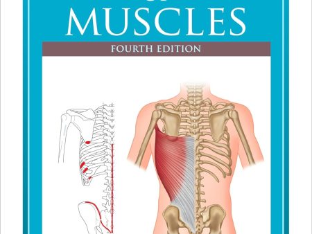 The Concise Book of Muscles - 4th Edition Hot on Sale